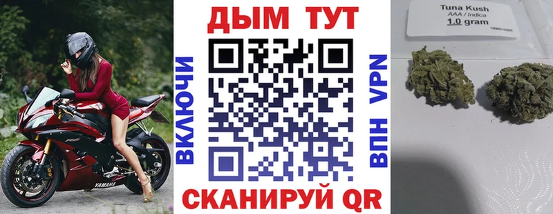 Где найти наркотики Ивдель Кокаин  A PVP  Каннабис  Амфетамин  Гашиш 