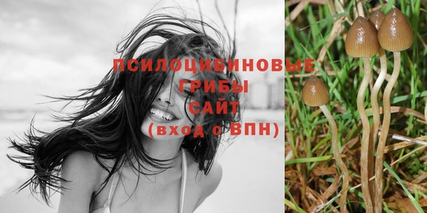не бодяженный Няндома