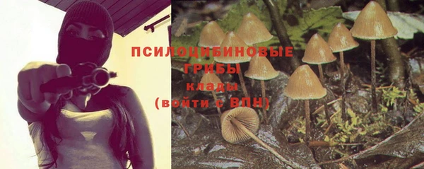 не бодяженный Няндома