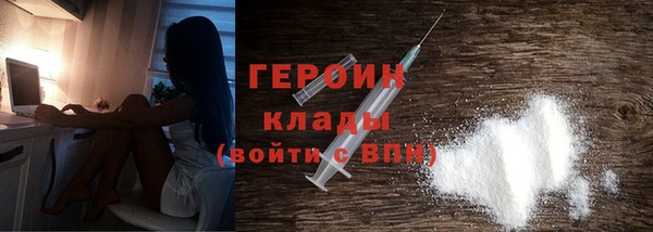 прущие грибы Новодвинск