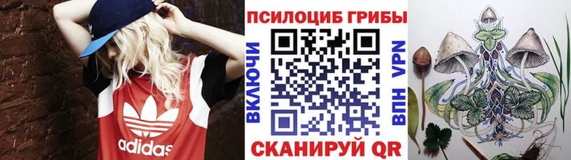 Галлюциногенные грибы Psilocybe  Ивдель 